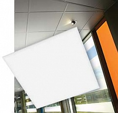 Gyptone Base 31 Gyptone Base 31