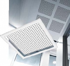 Gyptone Hatch Gyptone Hatch