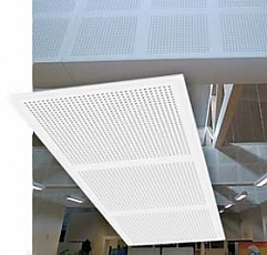Gyptone Big Quattro 43 Gyptone Big Quattro 43