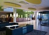Ecophon Solo Ellipse